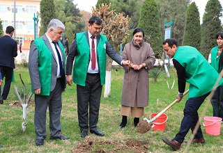 "Ma’rifat ulashib" loyihasi TerDUda